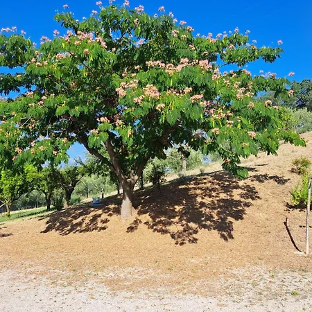 Tatil Evi Eretenia Costa Dei Trabocchi Torino di Sangro